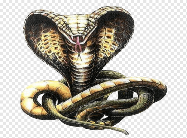 Королевская Кобра змея тату