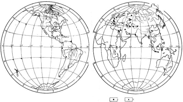 Глобус раскраска
