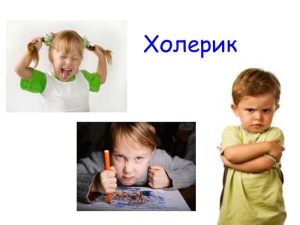 Холерик картинки