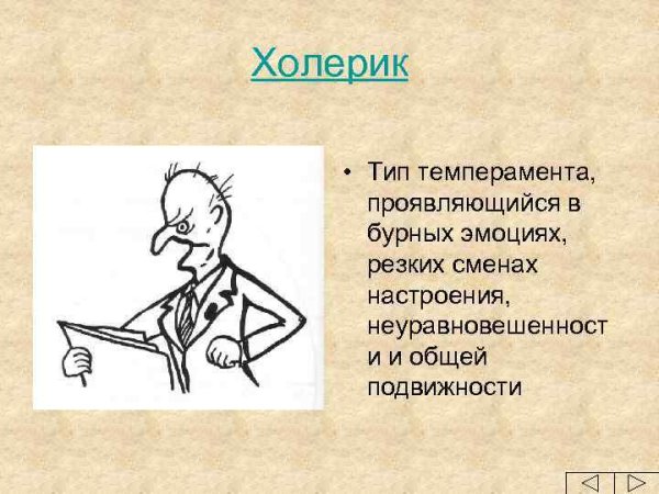 Холерический Тип темперамента