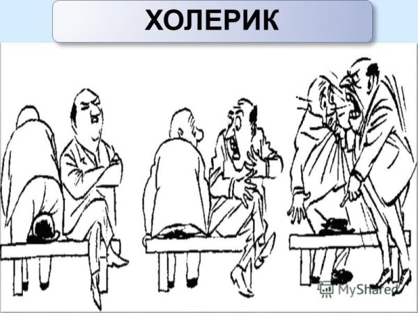 Сангвиник анимация