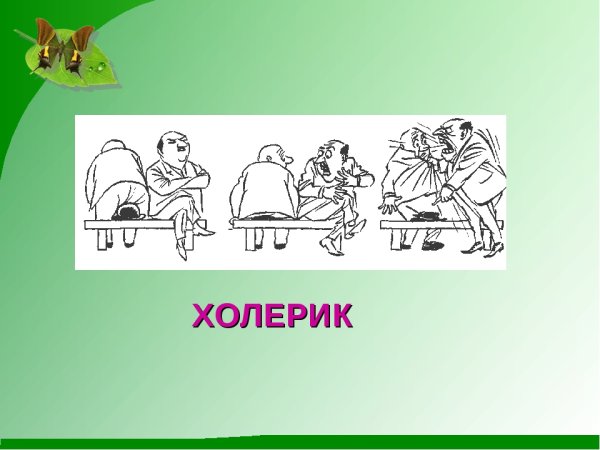 Холерик картинки