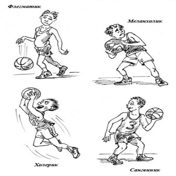Темперамент иллюстрации