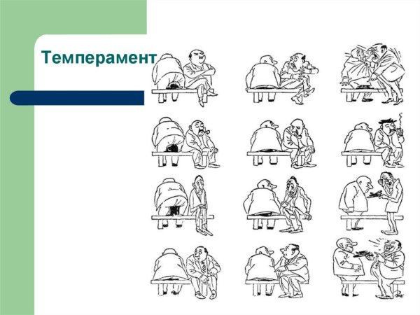 Сангвиник меланхолик холерик флегматик типы темпераментов