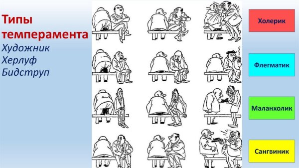 Бидструп типы темперамента