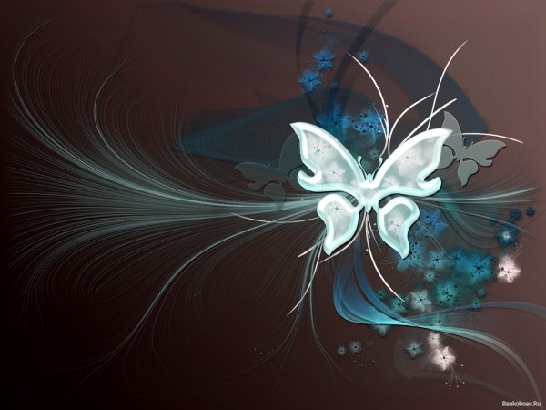 Обои на рабочий стол бабочки