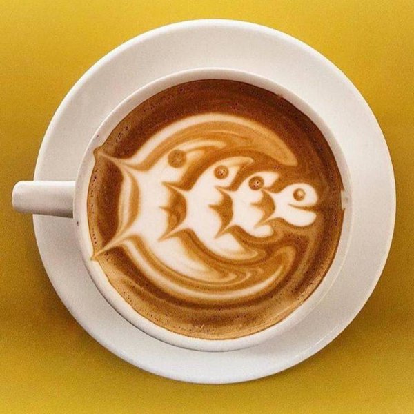 Лебедь на латте