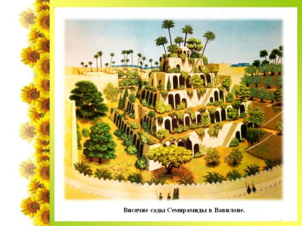 Сады Семирамиды Фейт