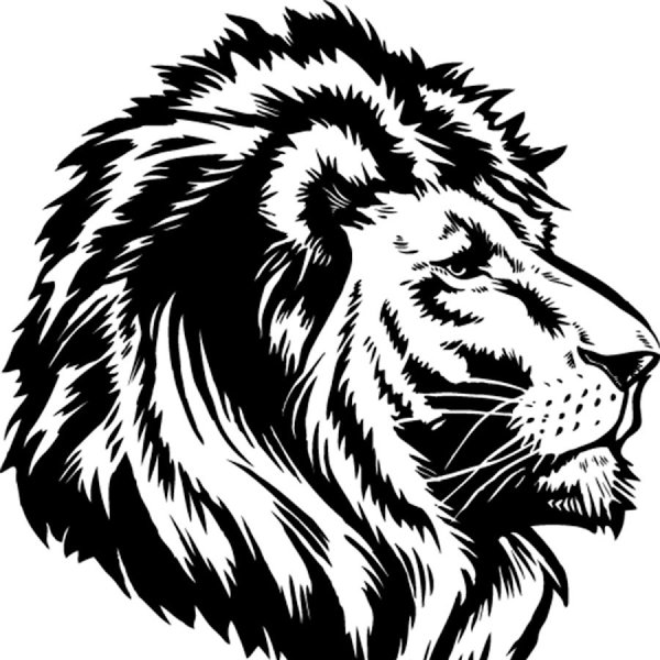 Векторные рисунки