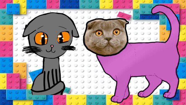 Lapka Kate рисунки