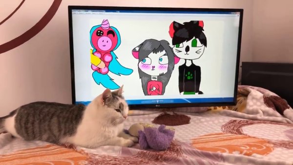 Арты подписчиков