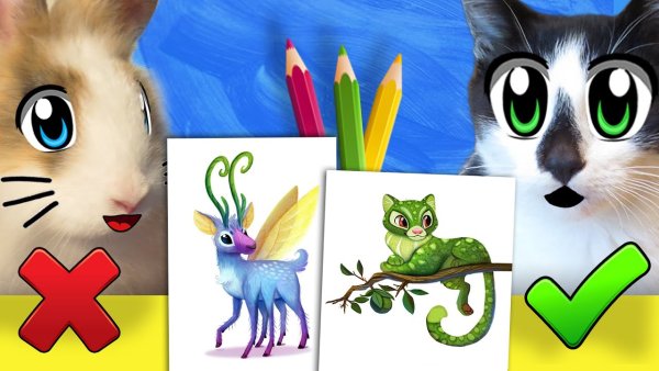 Анука давайка