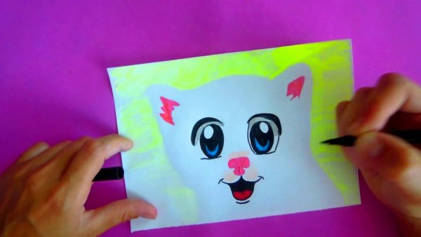 Леви и дазуки