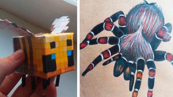 Анука давайка рисунки