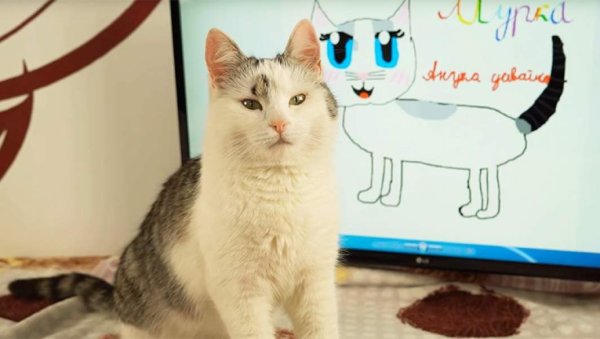 Анука давайка рисунки