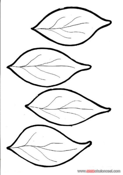 Сирень раскраска