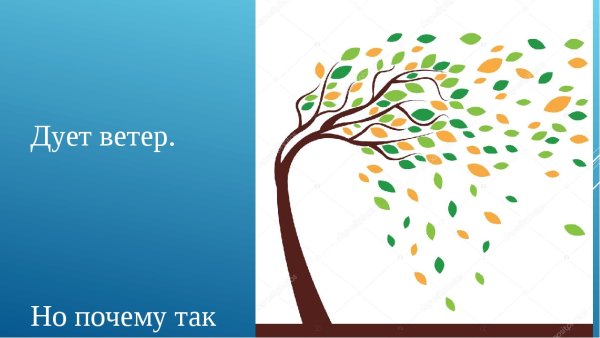 Ветер дует на дерево