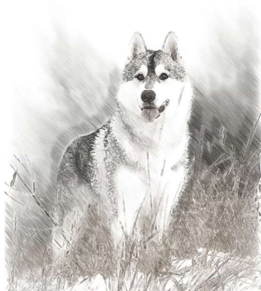 Лайка карандашом