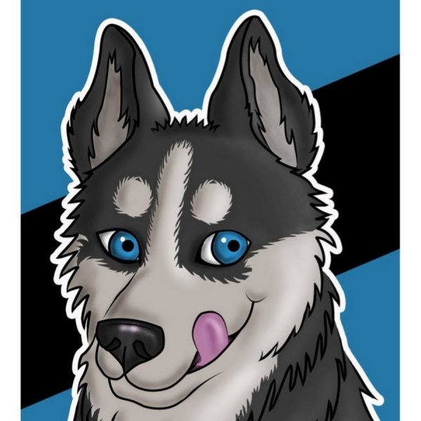 Хаски в мультяшном стиле