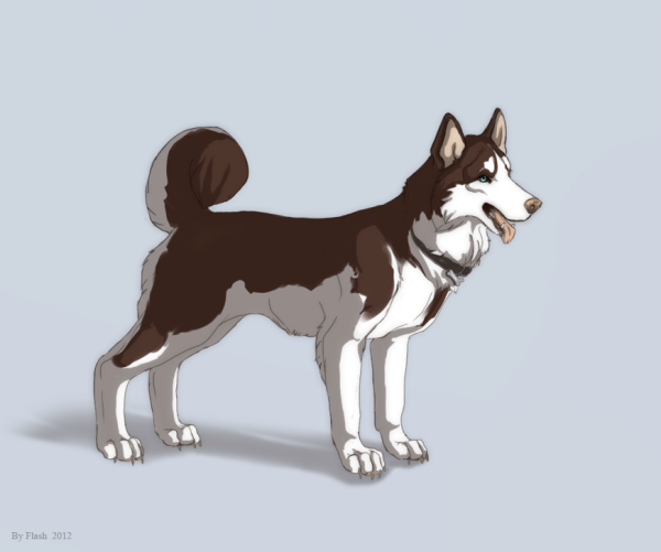 Хаски аниме