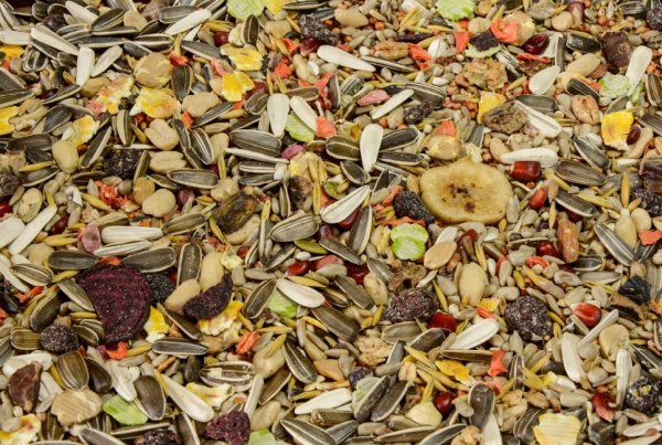 Зерносмесь для попугаев