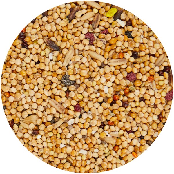 Зерно для попугаев