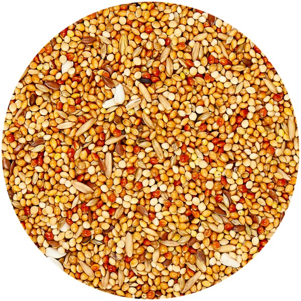 Versele-Laga Prestige Budgies