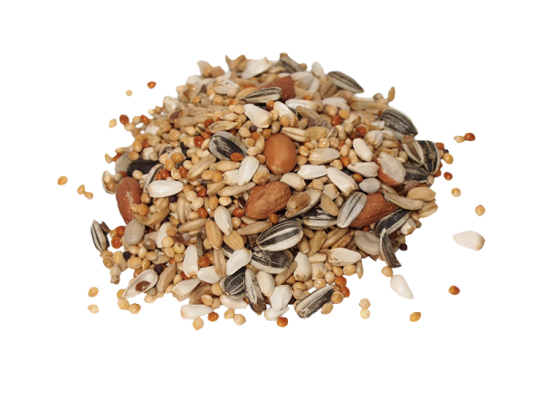 Корм для попугаев на белом фоне