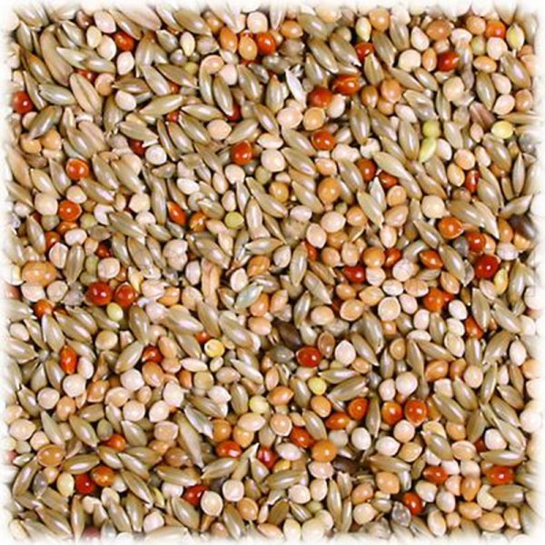 Родные корма корм стандарт для средних попугаев, 14х400 г