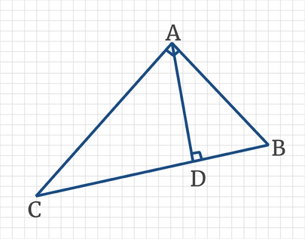Высота треугольника