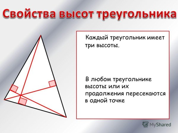 Основание и высота треугольника