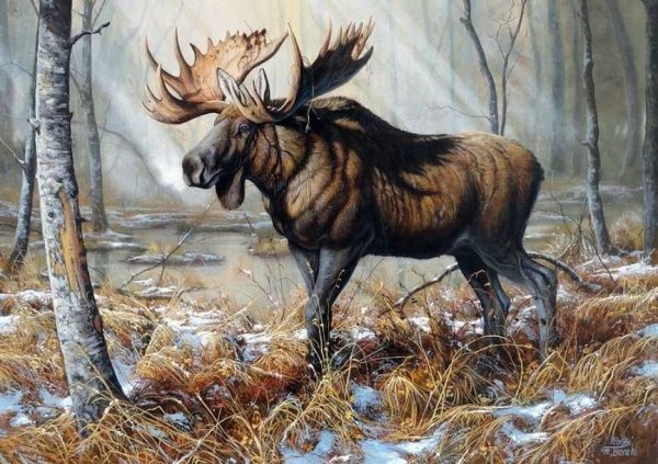 Картина художника Данчурова Лось