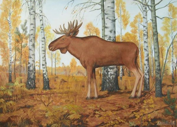 Лось гуашью