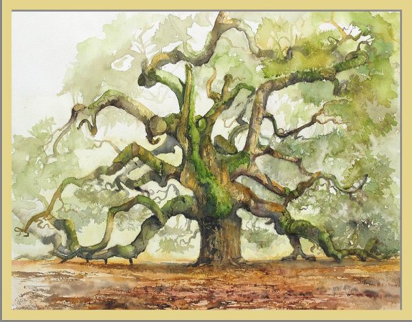 Дуб акварелью