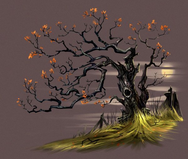 Ветвистое дерево