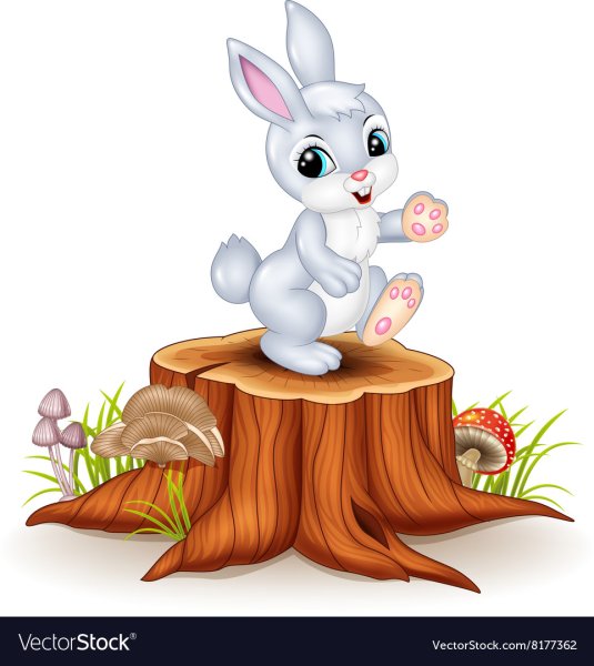 Заяц раскраска для детей