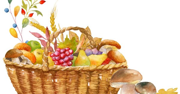 Вектор лукошко грибы ягоды
