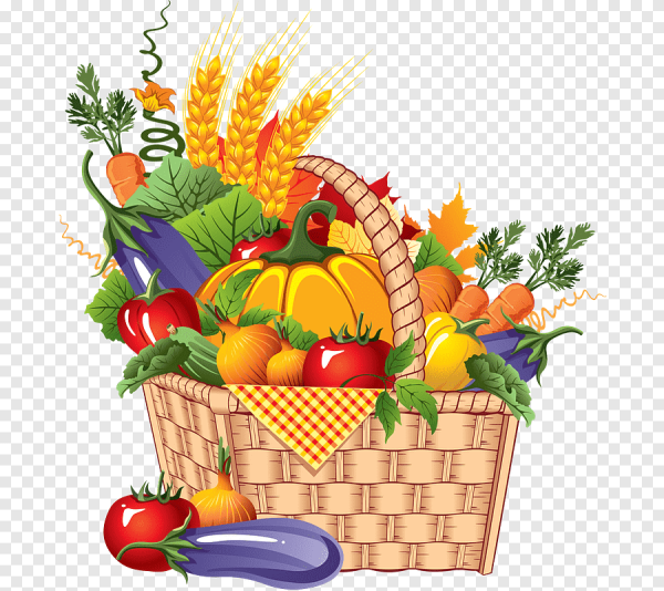 Корзина с овощами и фруктами вектор