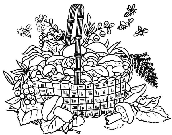 Осенняя раскраска