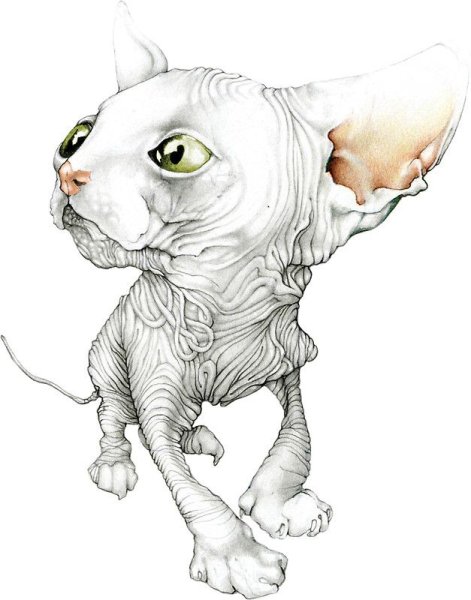 Сфинкс зарисовка