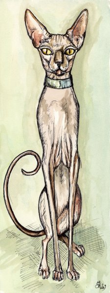 Сфинкс рисунок