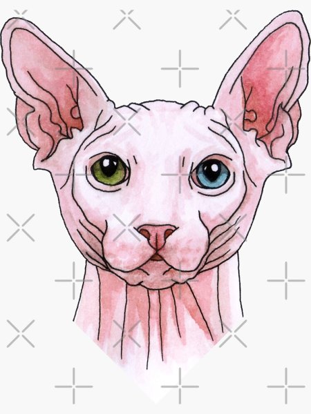 Стикеры лысый кот