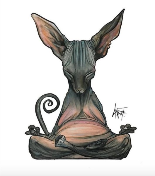 Сфинкс медитирует