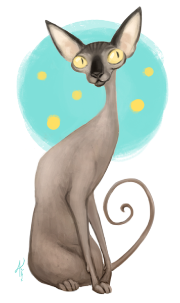 Коты сфинксы мультяшные