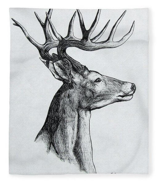 Голова оленя сбоку