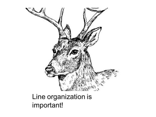 Марал раскраска