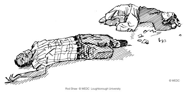 Мертвая птица арт