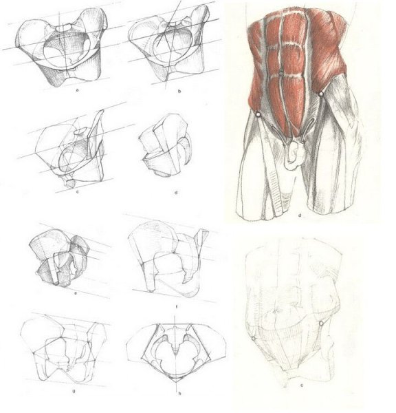 Готфрид Баммес