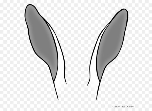 Уши кроличьи