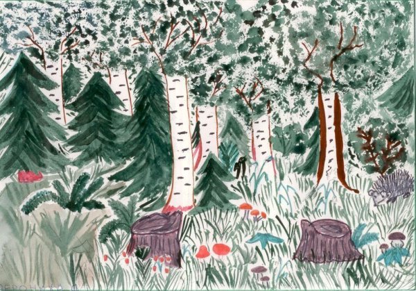 Тайга рисунок